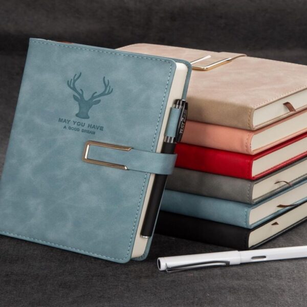 Diaries - Image 5