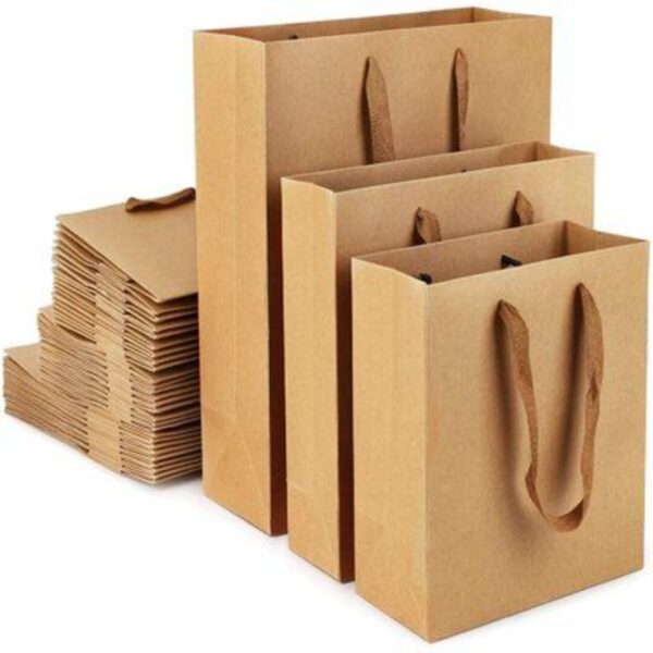 Kraft Paper Bags - Image 7